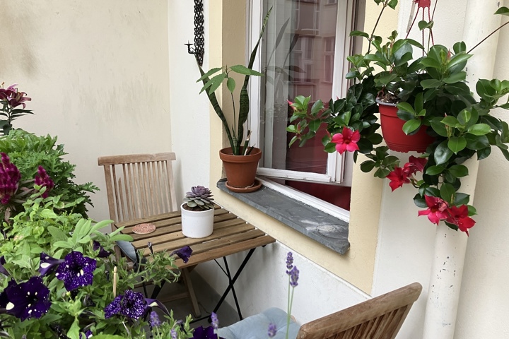 1-room apartment with balcony in central Berlin - 4