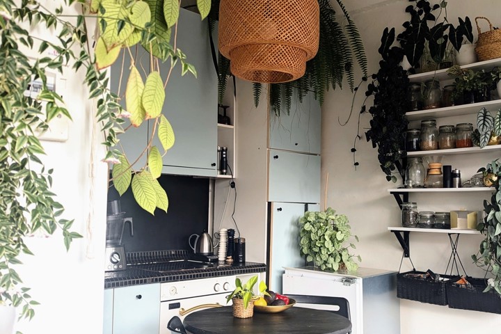 A green oasis in an industrial building - 2