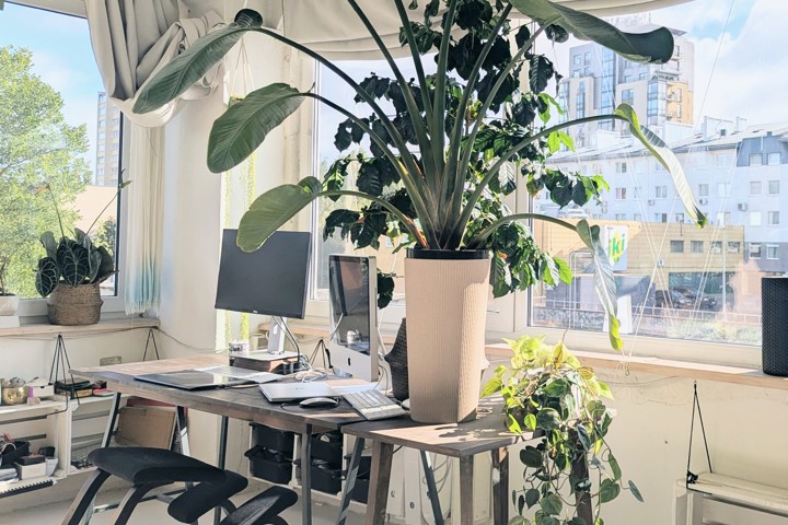 A green oasis in an industrial building - 1