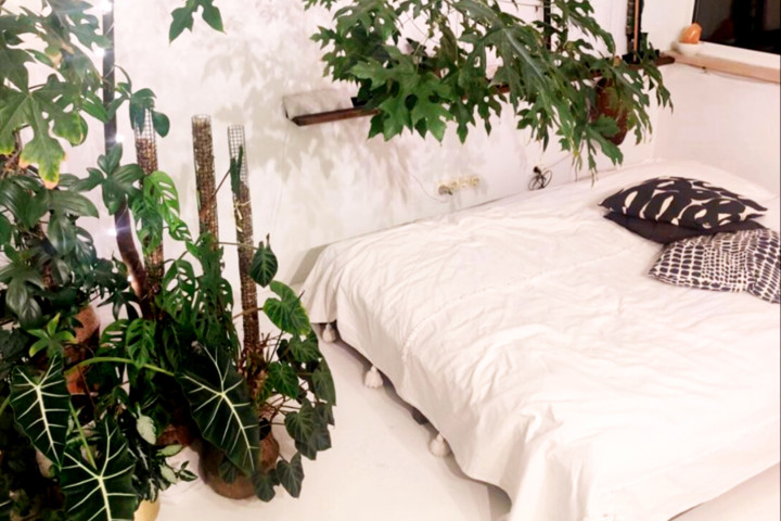 A green oasis in an industrial building - 4