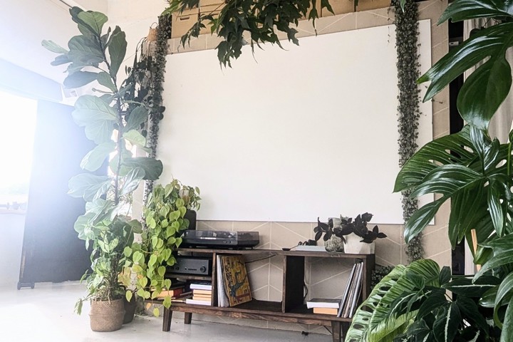 A green oasis in an industrial building - 3