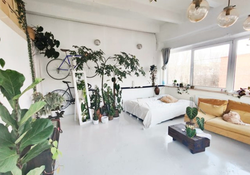 home swap in Vilnius, Lithuania
