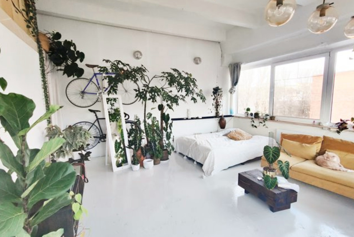 A green oasis in an industrial building