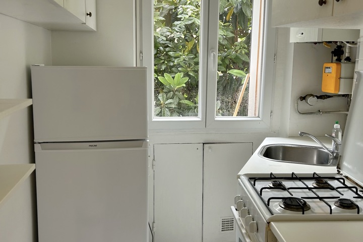 Peaceful apartment in the heart of Paris - 3
