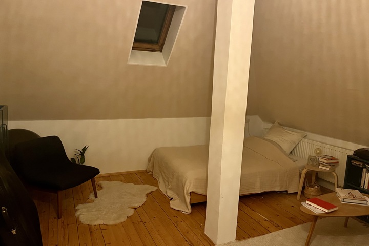 Cozy penthouse in central Munich - 2