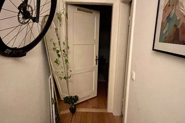 Cozy penthouse in central Munich - 4