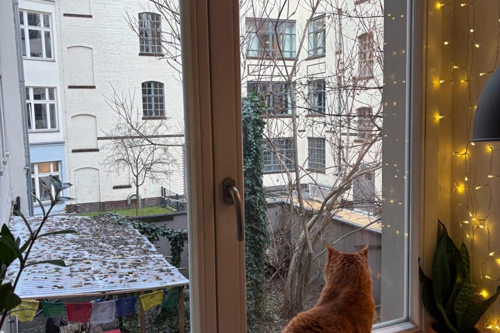 Cosy & Calm Apartment in Friedrichshain - 8