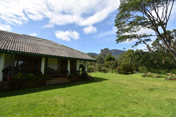 Jungle Tide  Bungalow - 2
