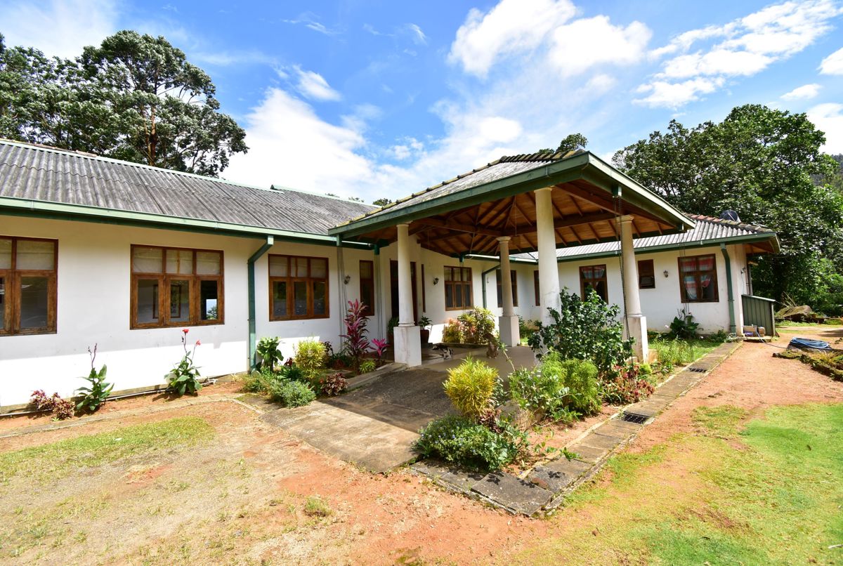 Jungle Tide  Bungalow