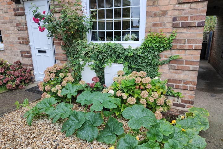 Cosy terraced house - 1