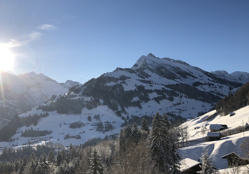 home swap in Frutigen, Switzerland