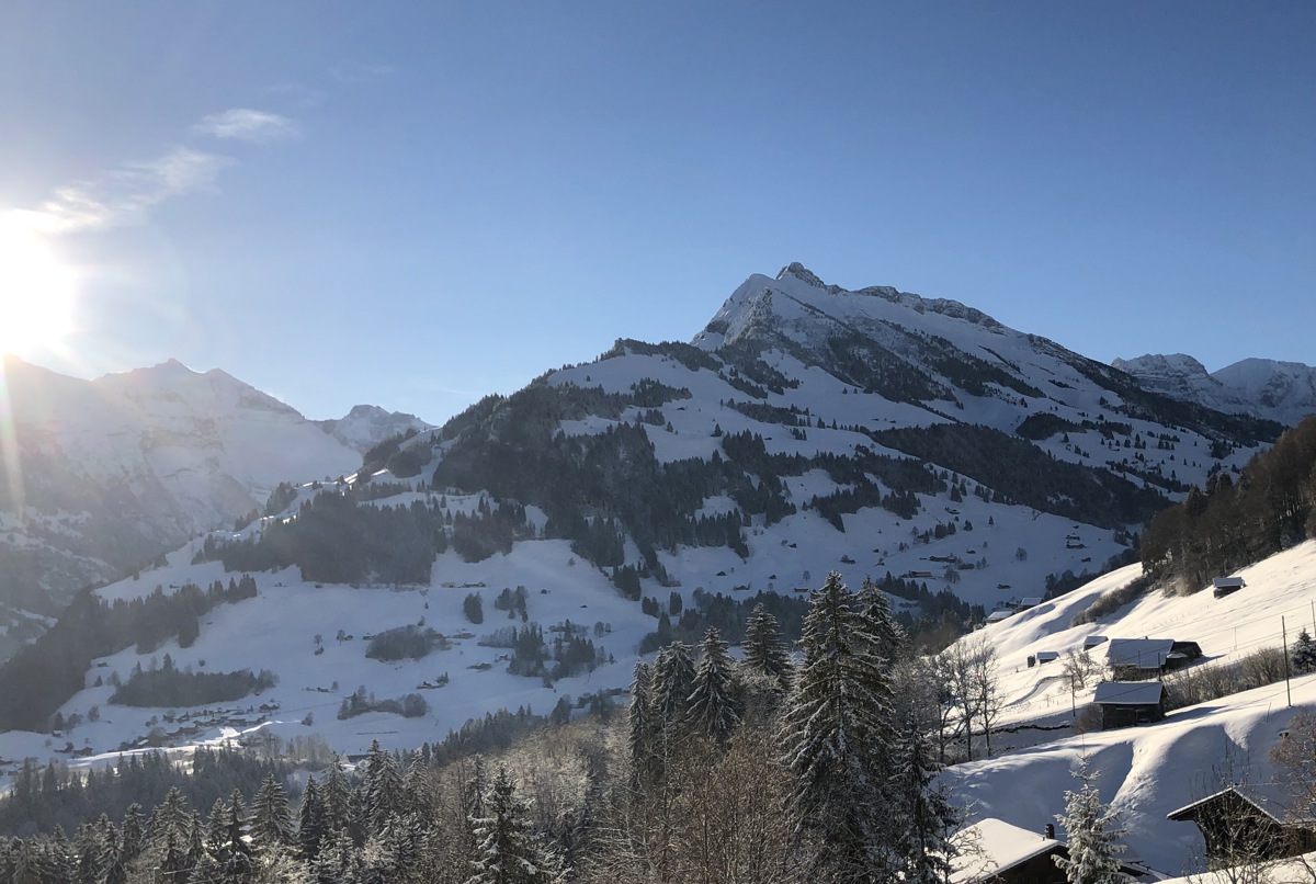 Typical Swiss Chalet, spectacular view of the Alps