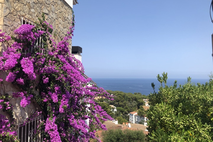 Authentic flat at the Costa Brava - 2