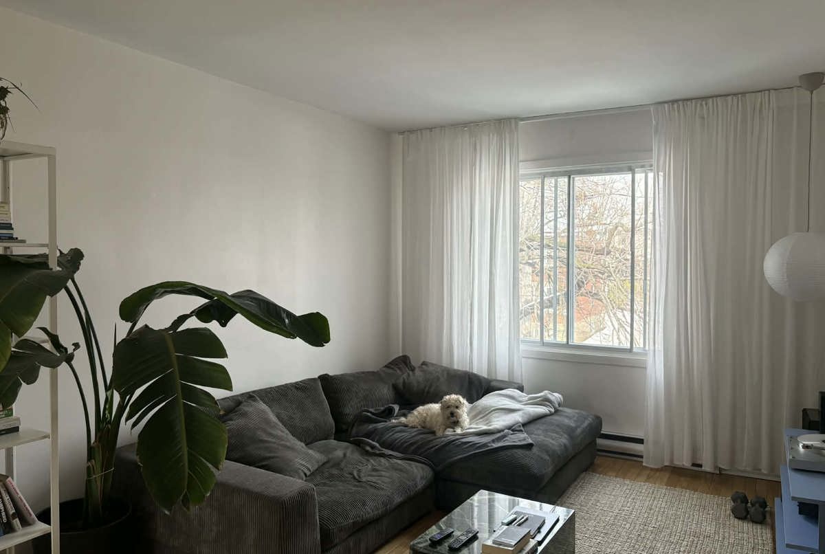 Nice and cozy apartment close to Montreal