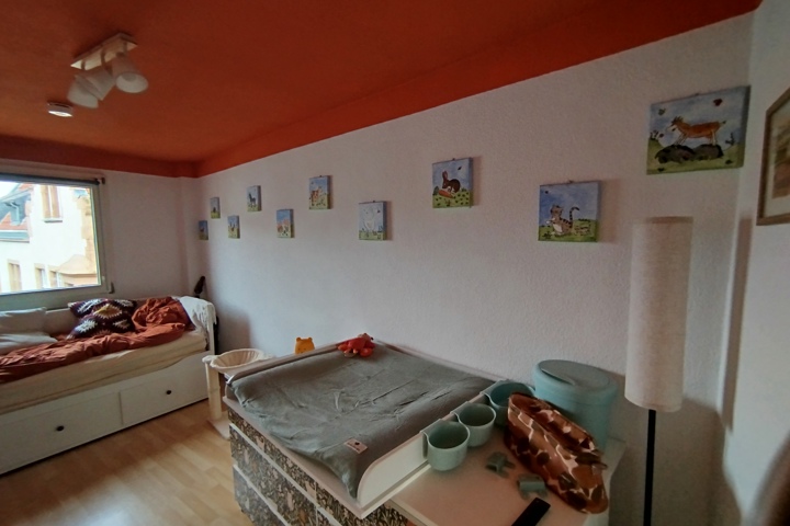 Charming flat in between Cologne and Bonn - 4