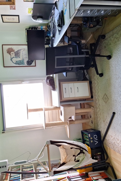 Charming flat in between Cologne and Bonn - 3