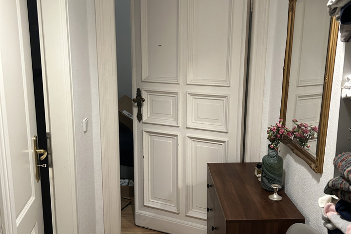 Furnished 1-Room Flat in Berlin Mitte - 3