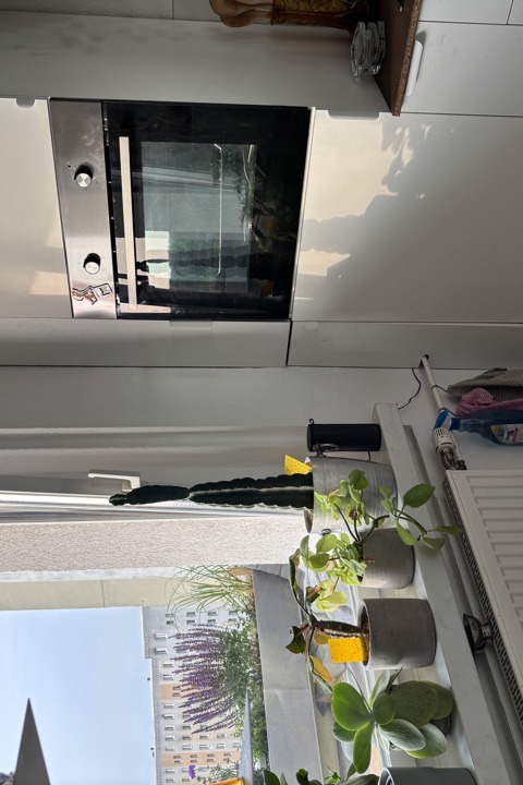 Peaceful Apartment in East Berlin - 12