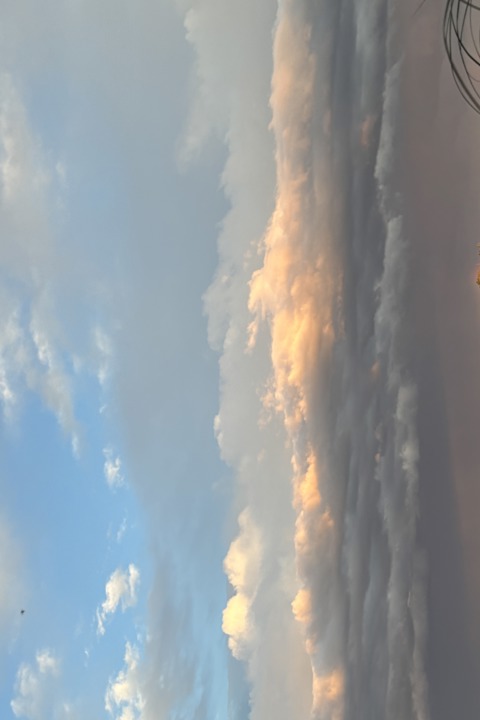 Peaceful Apartment in East Berlin - 17