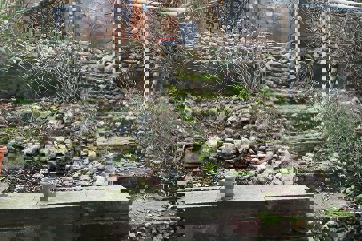 Charming & spacious apt on central+green location - 8