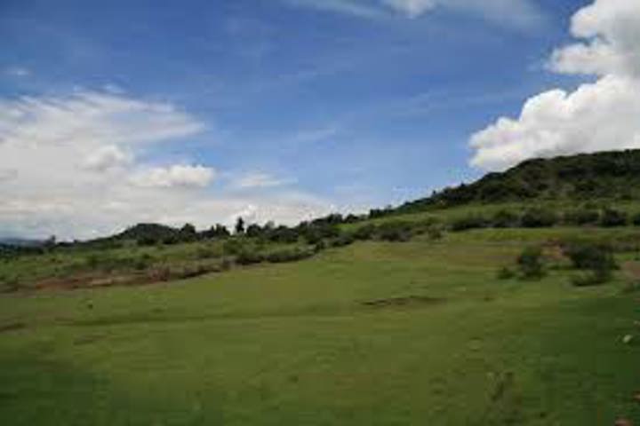 High Valley Farm - 3