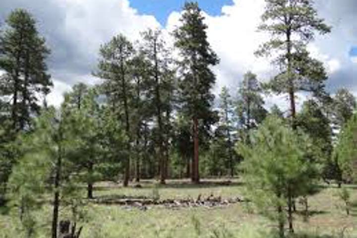 High Valley Farm - 10