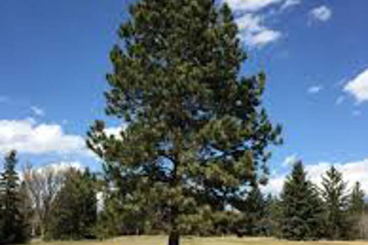 High Valley Farm - 9