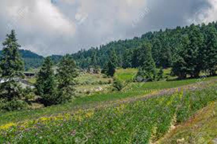 High Valley Farm - 11