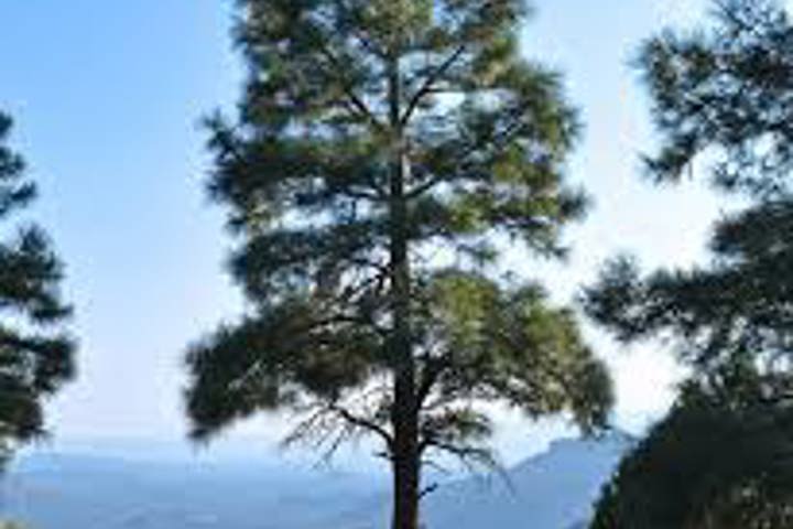 High Valley Farm - 13