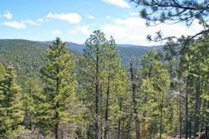 High Valley Farm - 15