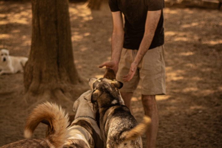 High Valley Farm - 18