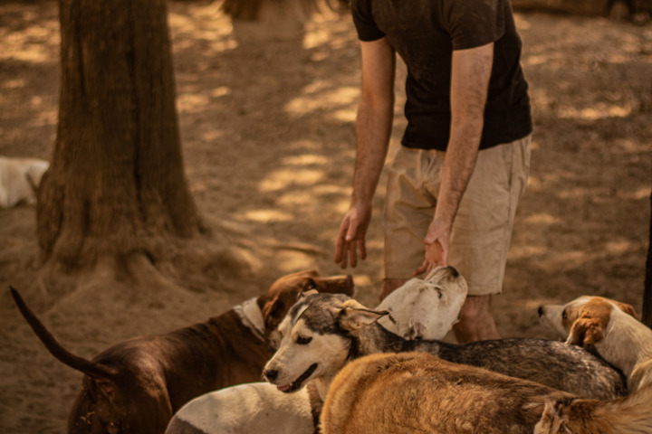 High Valley Farm - 20