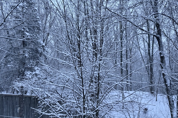 Wild Divine sanctuary - 12