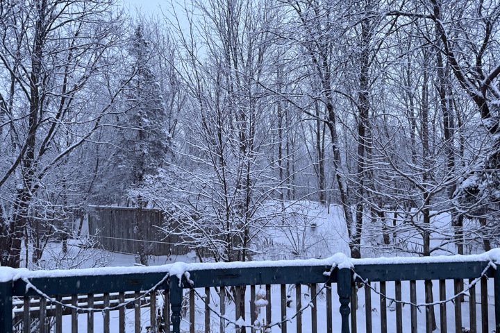 Wild Divine sanctuary - 11