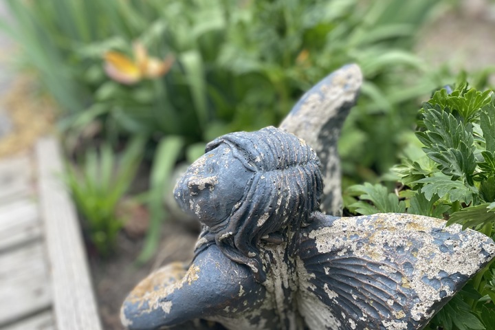 Wild Divine sanctuary - 14