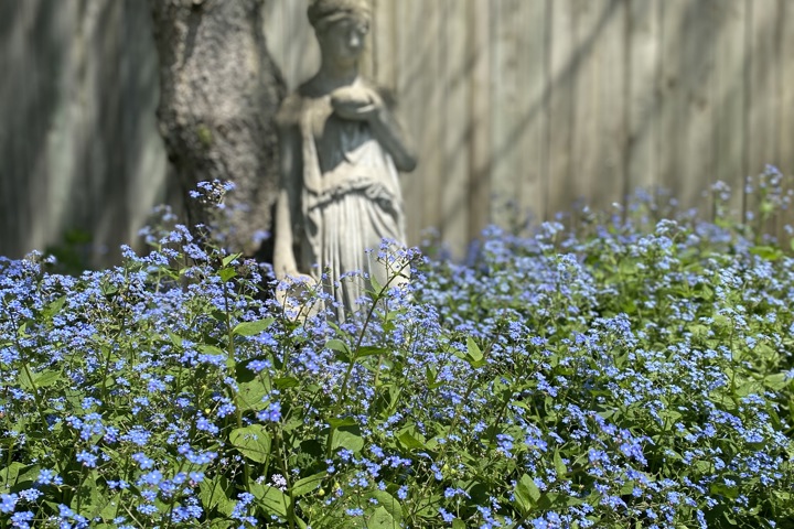 Wild Divine sanctuary - 15