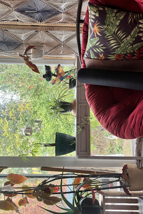 Wild Divine sanctuary - 7