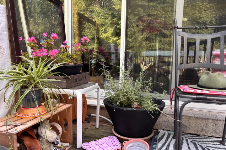 Wild Divine sanctuary - 9