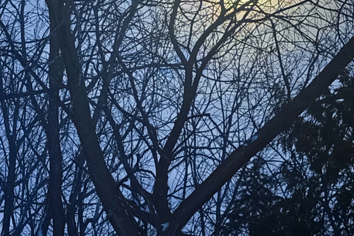 Wild Divine sanctuary - 16