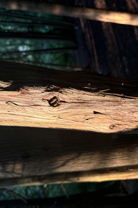 Wild Divine sanctuary - 18