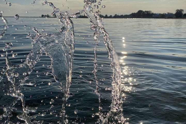 Wild Divine sanctuary - 22