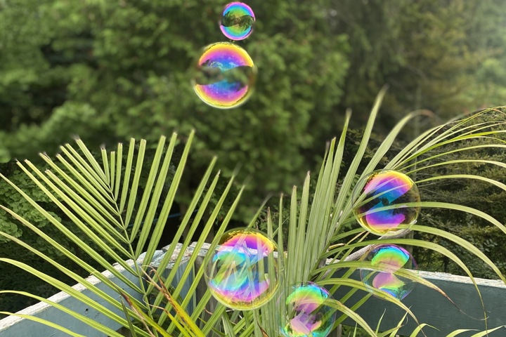 Wild Divine sanctuary - 19