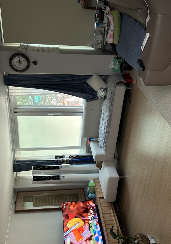 home swap in Seoul, South Korea