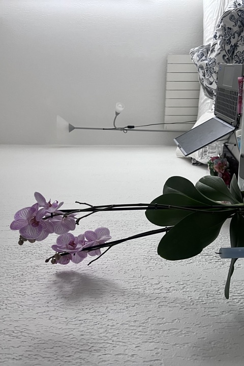 Studio in Paris - 3