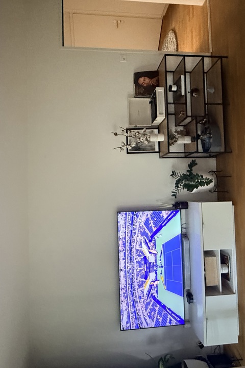 Cozy & Peaceful Apartment Near Zurich City - 1