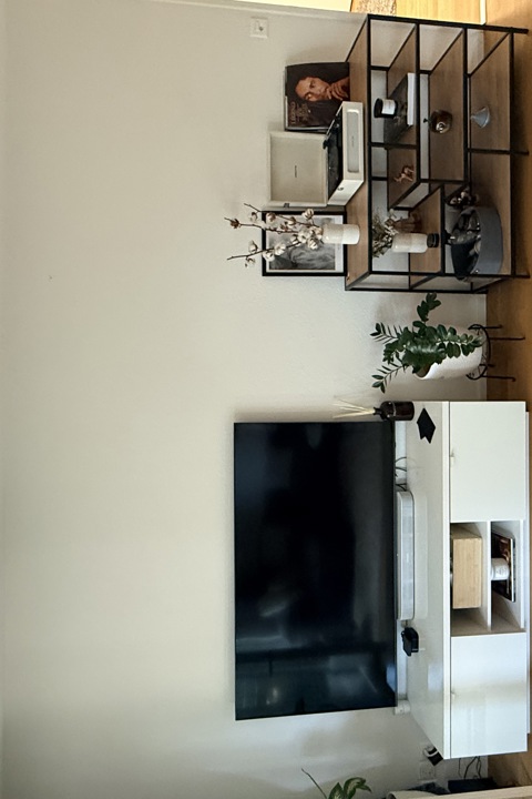 Cozy & Peaceful Apartment Near Zurich City - 1