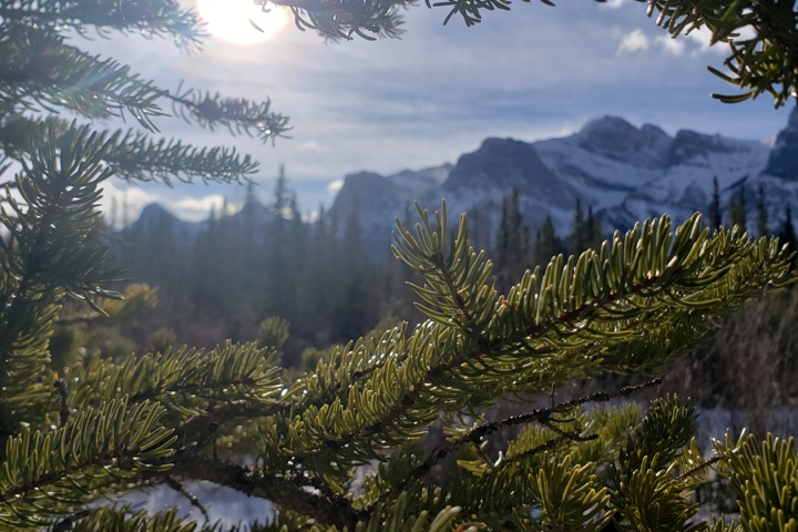 Cozy Mountain Retreat in Canmore – 1 Bedroom + Bon - 3