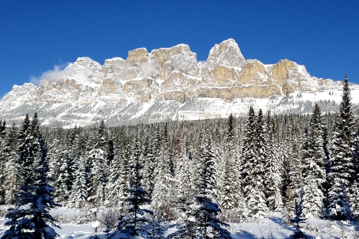 Cozy Mountain Retreat in Canmore – 1 Bedroom + Bon - 4