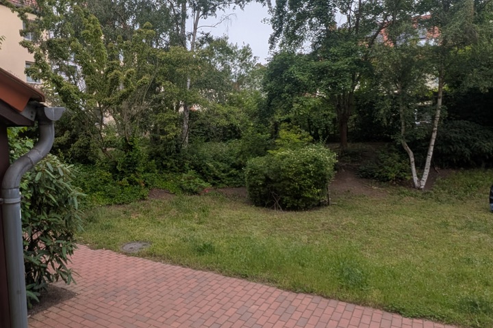 Quiet place with Parks and Nature - 1