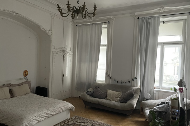 Gorgeous Flat located in the heart of Prague - 2